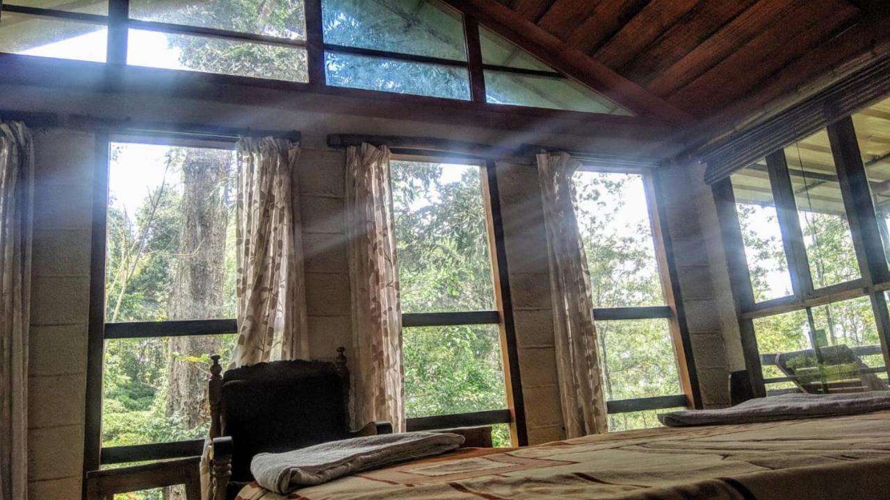 Jungle Jive Treehouse And Farm House Munnar Bagian luar foto