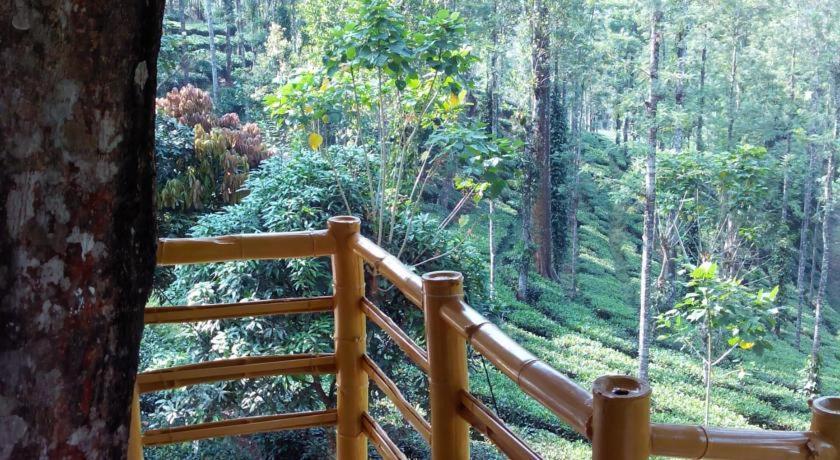 Jungle Jive Treehouse And Farm House Munnar Bagian luar foto