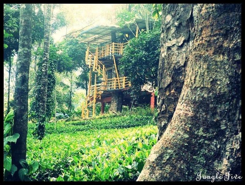Jungle Jive Treehouse And Farm House Munnar Bagian luar foto