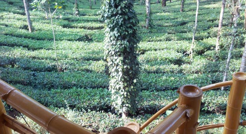 Jungle Jive Treehouse And Farm House Munnar Bagian luar foto