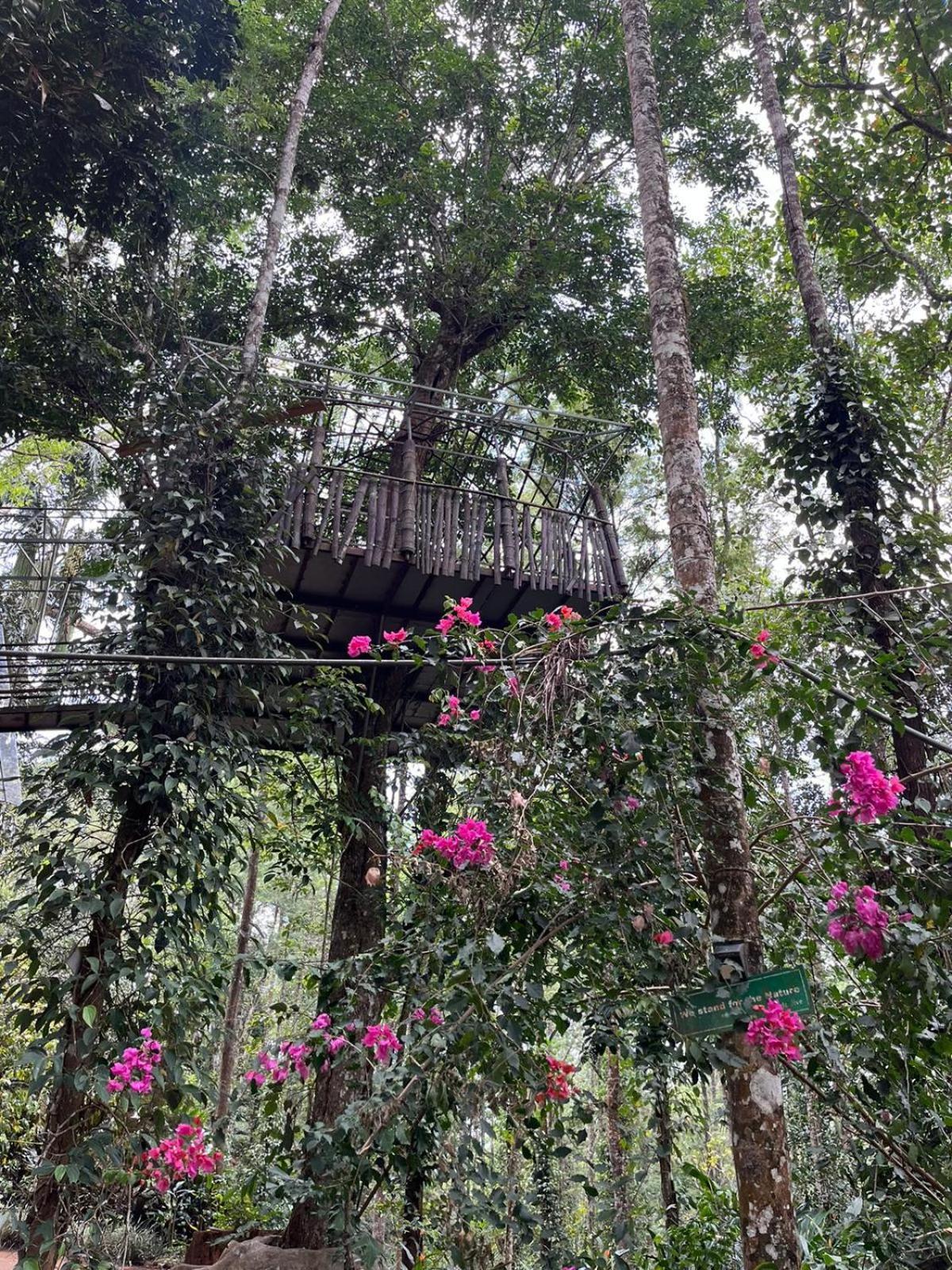 Jungle Jive Treehouse And Farm House Munnar Bagian luar foto