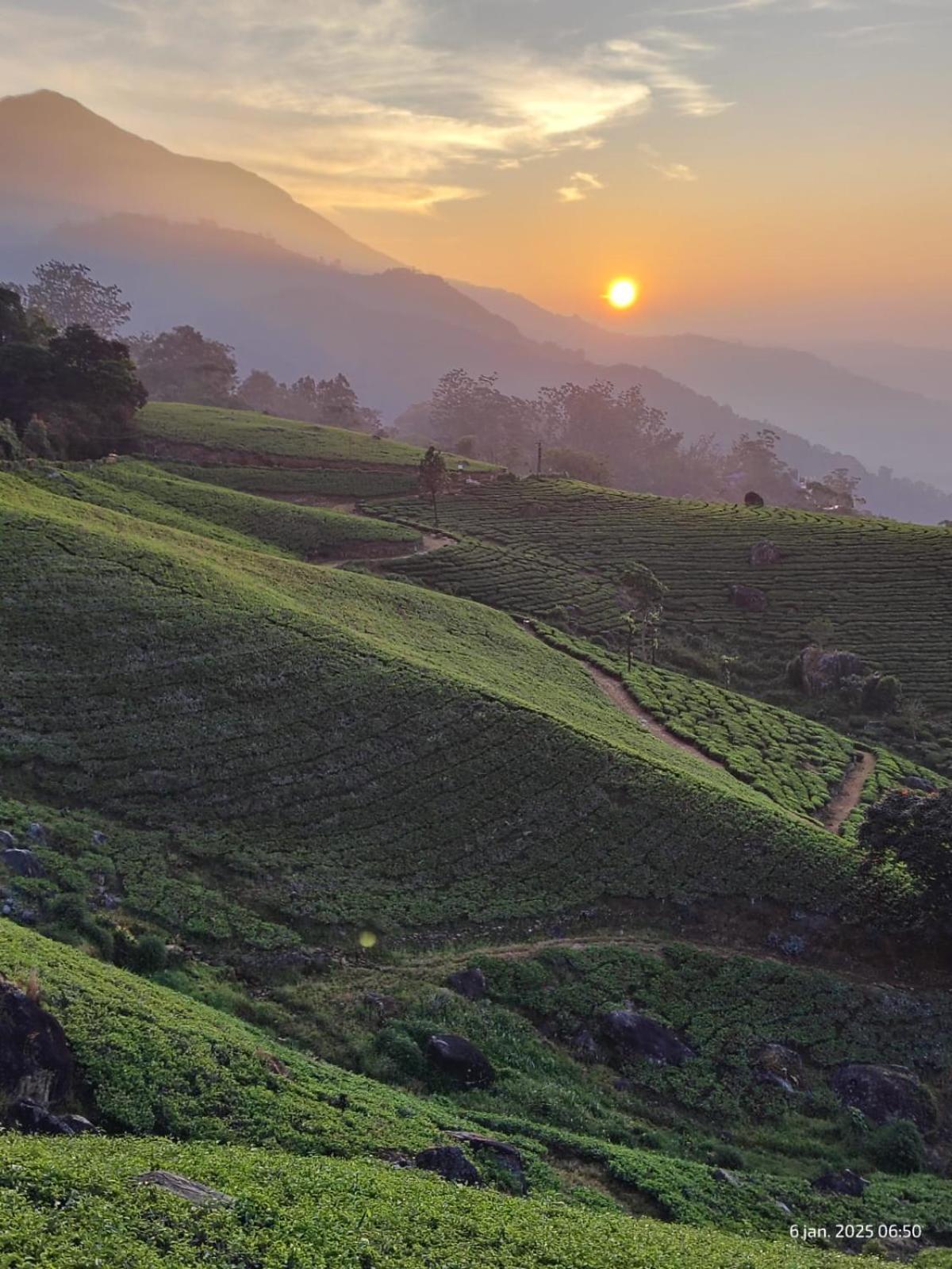 Jungle Jive Treehouse And Farm House Munnar Bagian luar foto