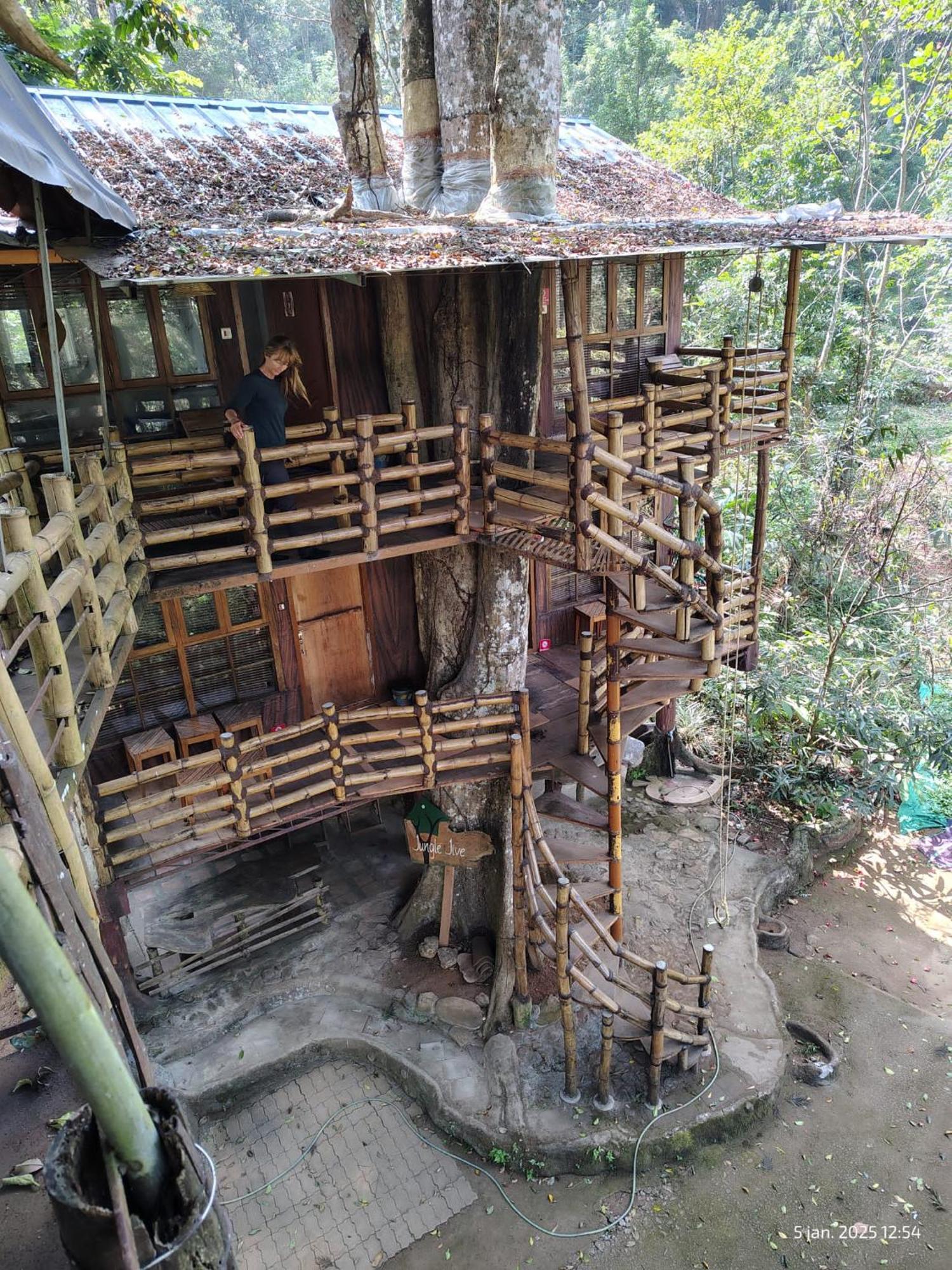Jungle Jive Treehouse And Farm House Munnar Bagian luar foto